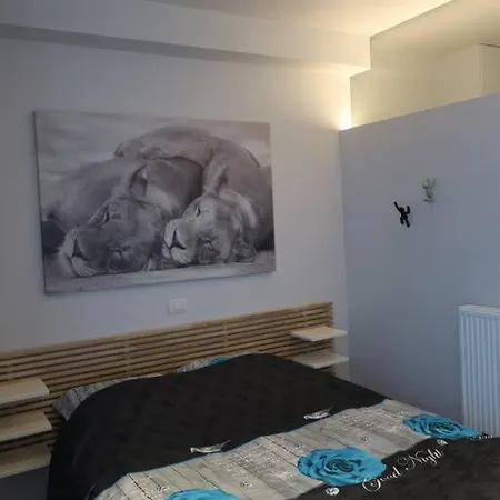 Cosy Studio In The Center Of Ghent, 2 People *