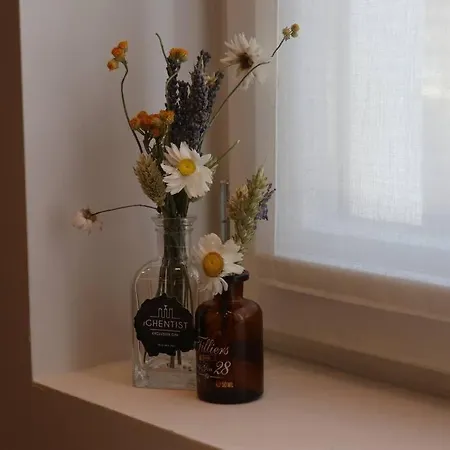 Cosy Studio In The Center Of Ghent, 2 People 아파트
